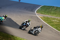 Advanced Group Silver_Grey Bikes